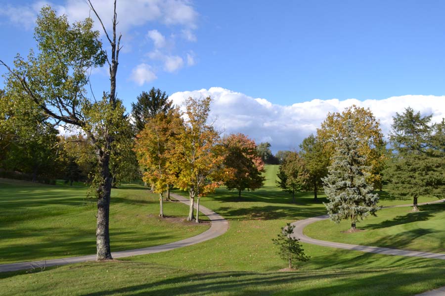 Course greens 