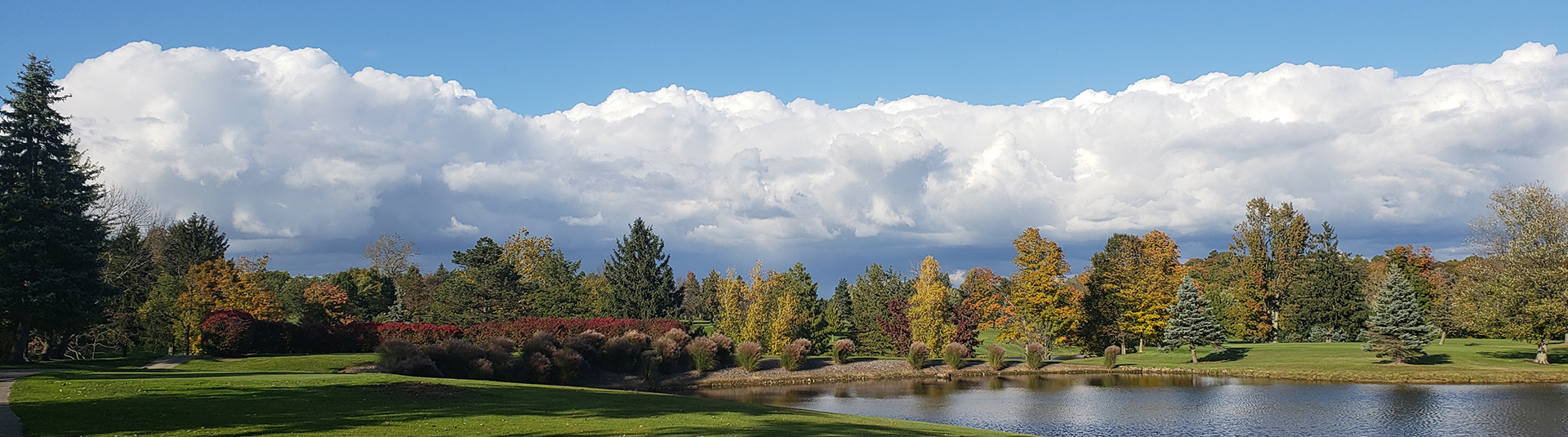 golf course green